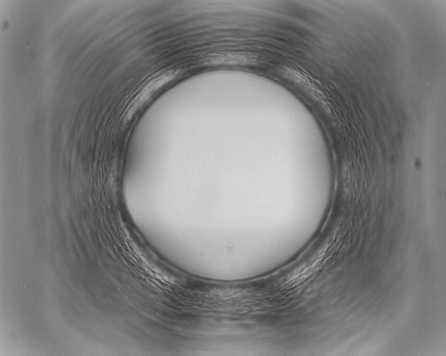 X0000057561033200510141343