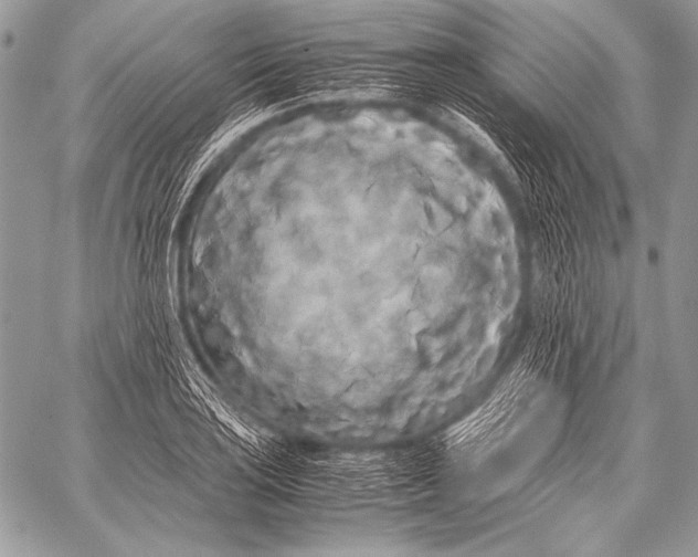 X0000057561035200510141343