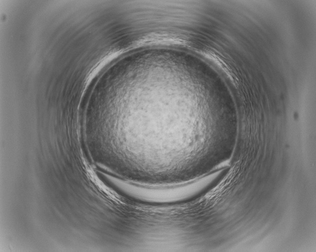 X0000057561038200510141343
