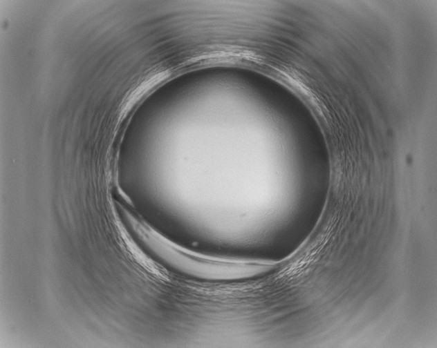 X0000057561042200510141343