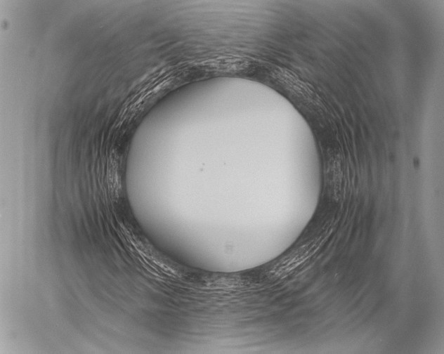 X0000057561058200510141343