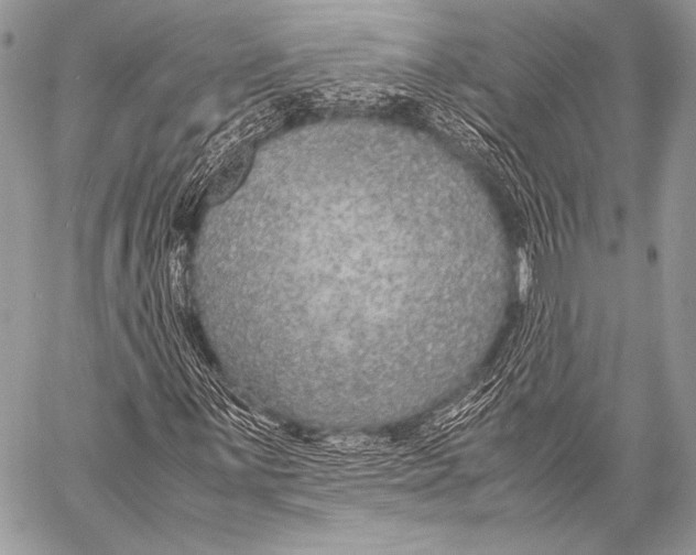 X0000057561059200510141343