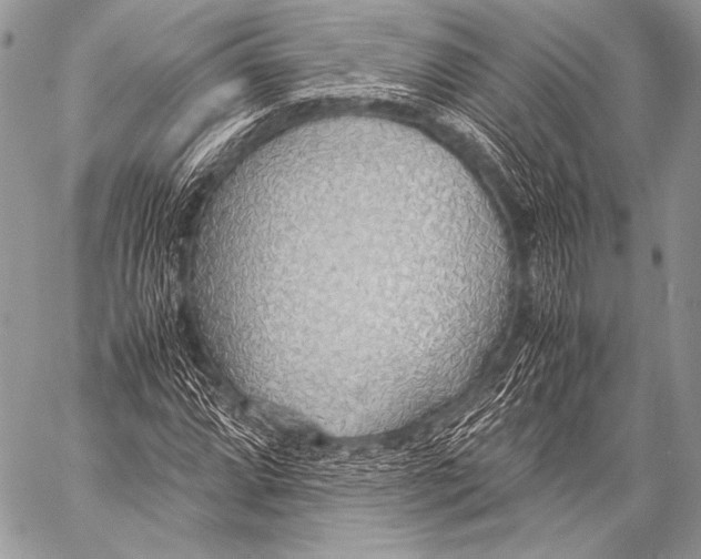 X0000057561064200510141343