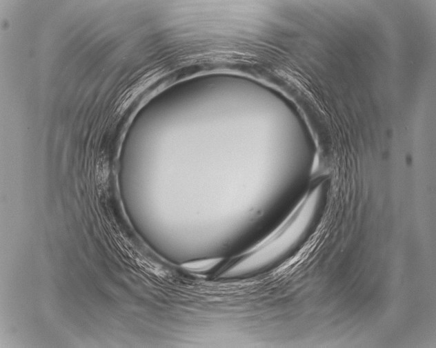 X0000057561065200510141343