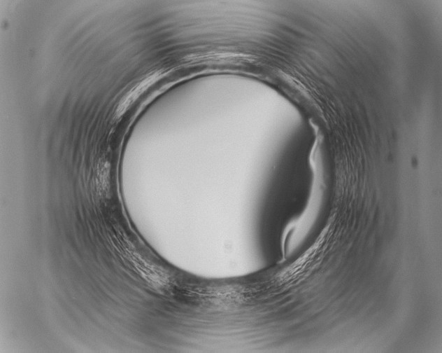 X0000057561066200510141343