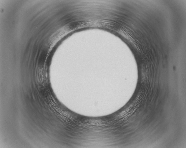 X0000057561070200510141343