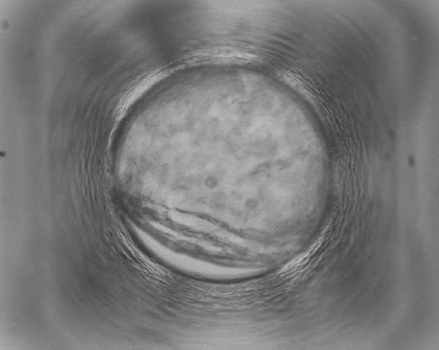 X0000057561071200510141343