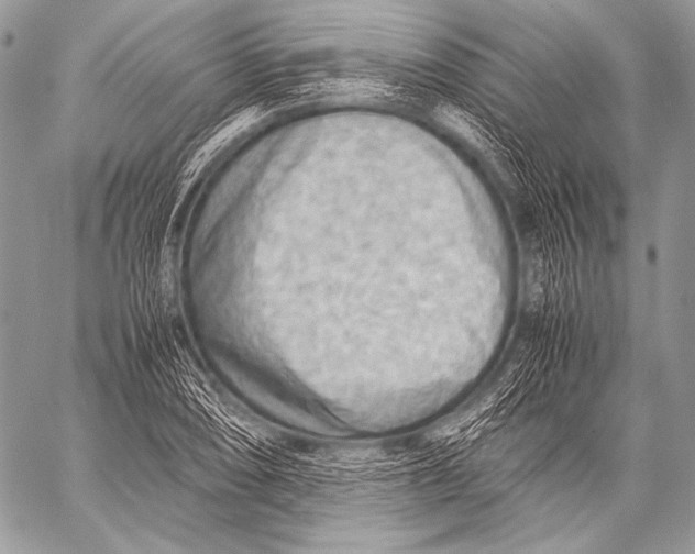 X0000057561074200510141343