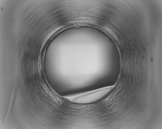 X0000057561076200510141342