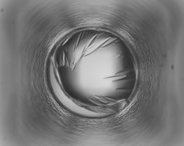 X0000057561077200510141342