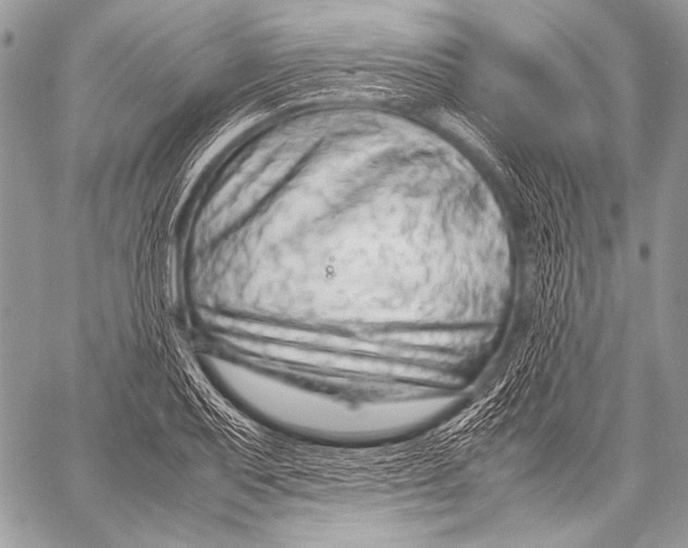 X0000057561079200510141342