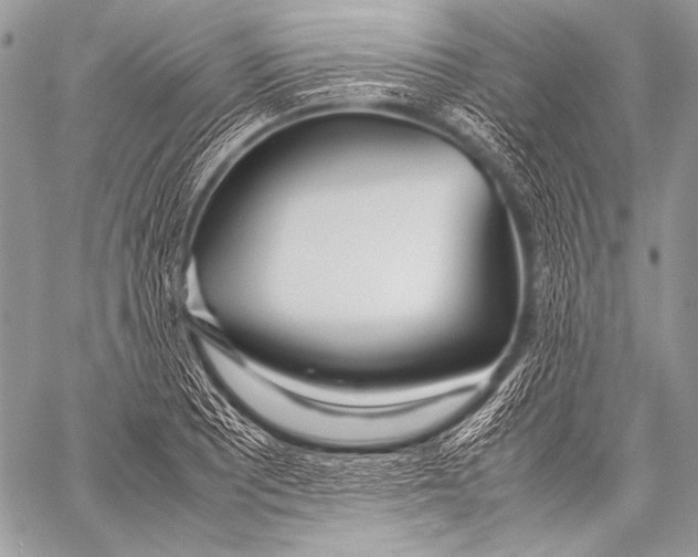 X0000057561081200510141342