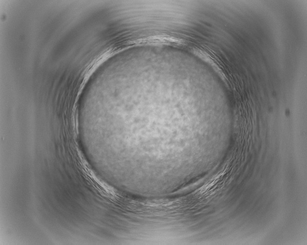 X0000057561083200510141342