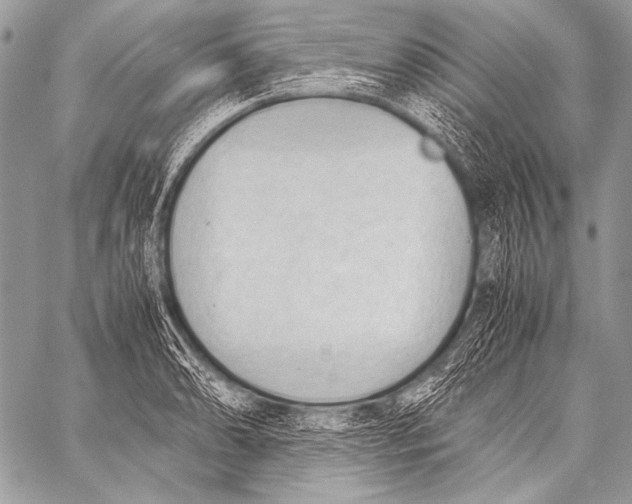 X0000057561086200510141342
