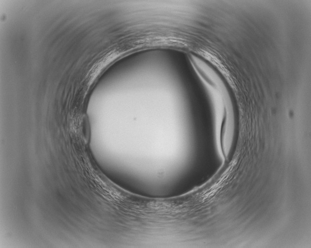 X0000057561089200510141342
