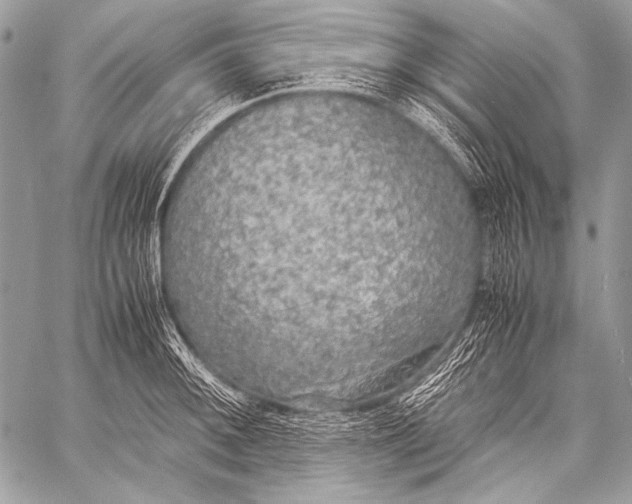 X0000057561092200510141342