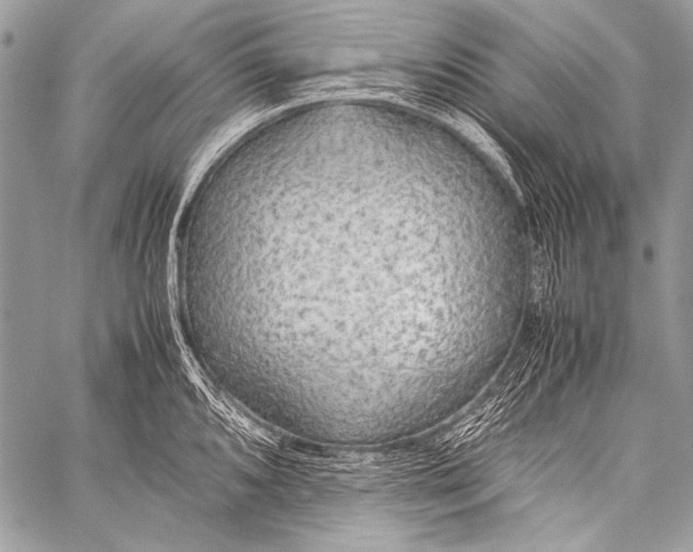 X0000057561096200510141342