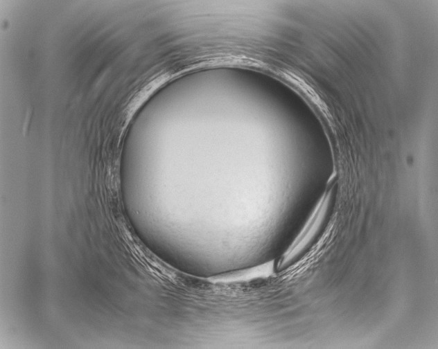 X0000057561097200510141342