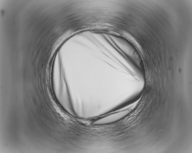 X0000057561099200510141342
