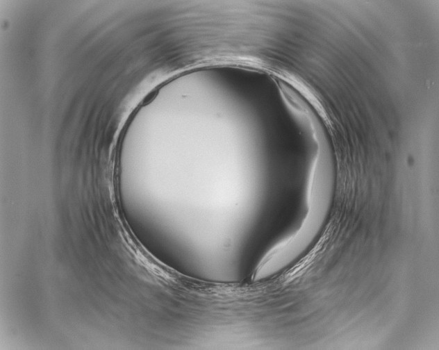 X0000057561102200510141342