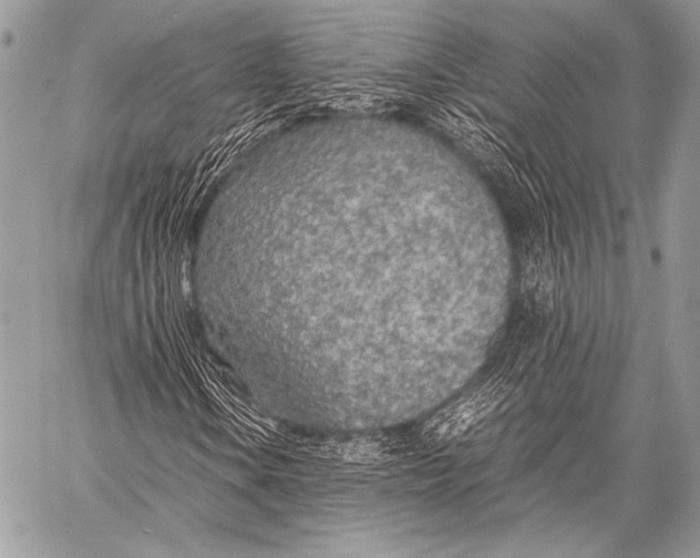 X0000057561106200510141341