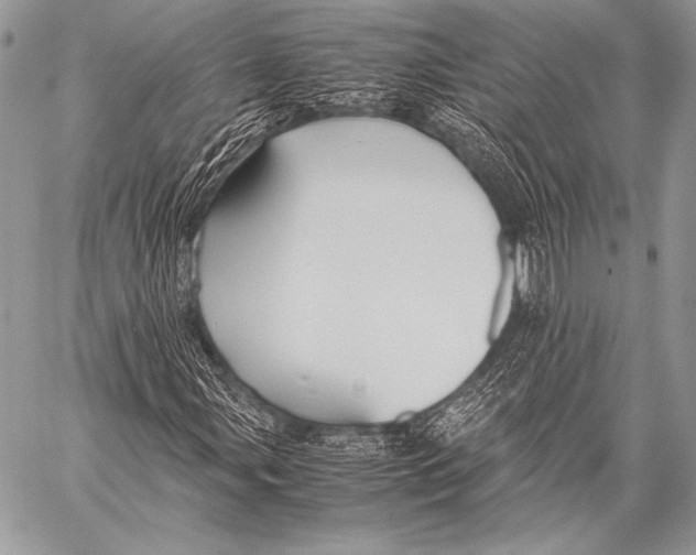 X0000057561107200510141341