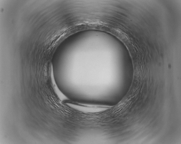 X0000057561110200510141341