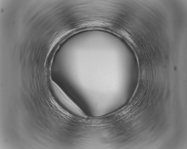 X0000057561116200510141341