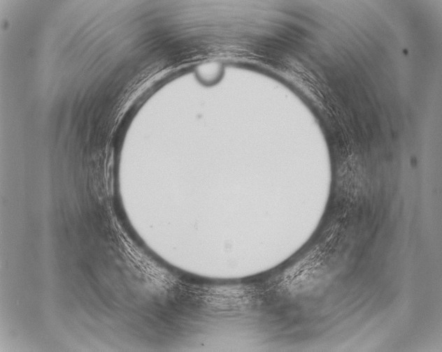 X0000057561126200510141342