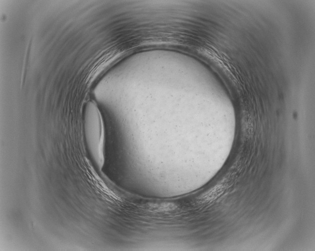 X0000057561129200510141342