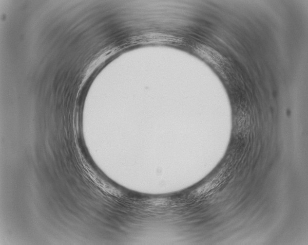 X0000057561130200510141342