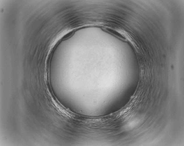 X0000057561143200510141342