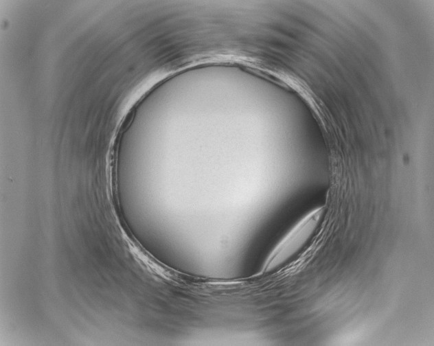 X0000057561151200510141342