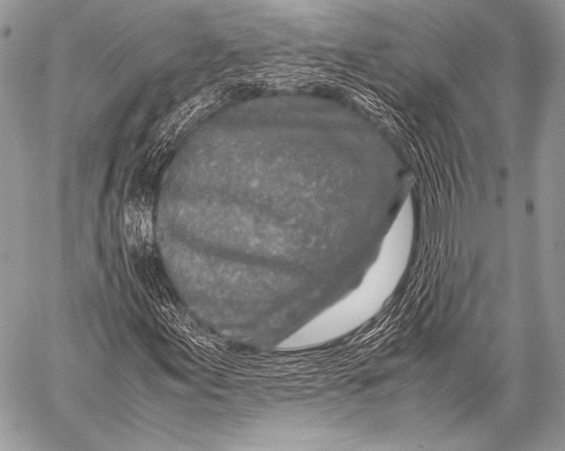X0000057561155200510141341