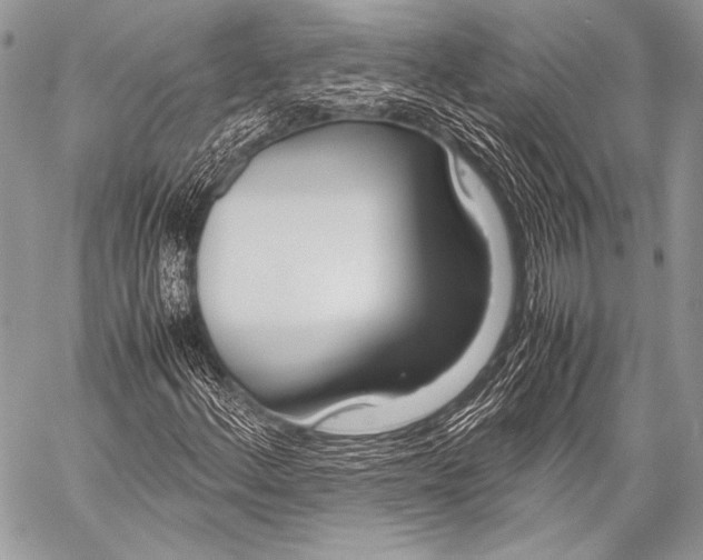 X0000057561156200510141341