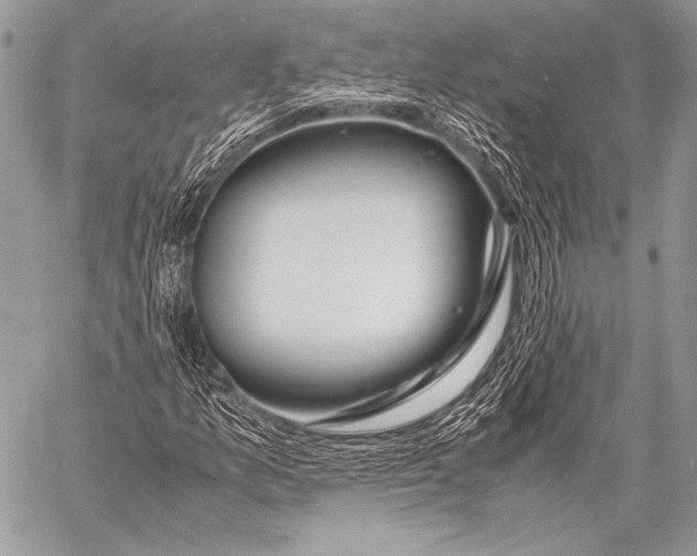 X0000057561157200510141341