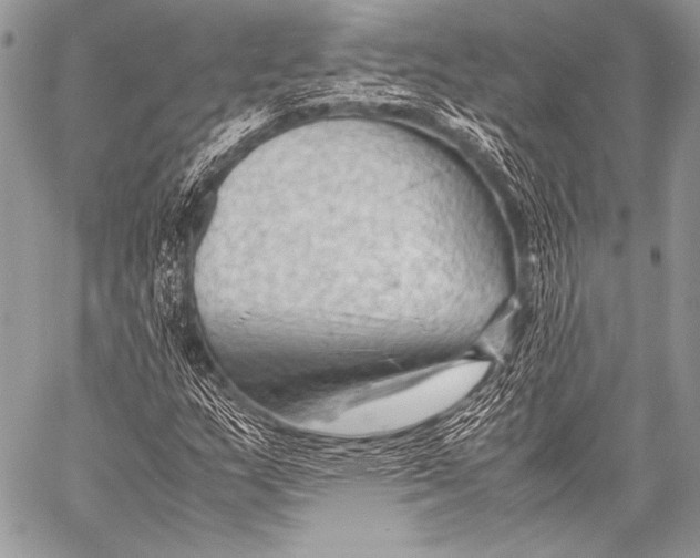 X0000057561159200510141341