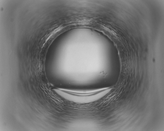 X0000057561160200510141341