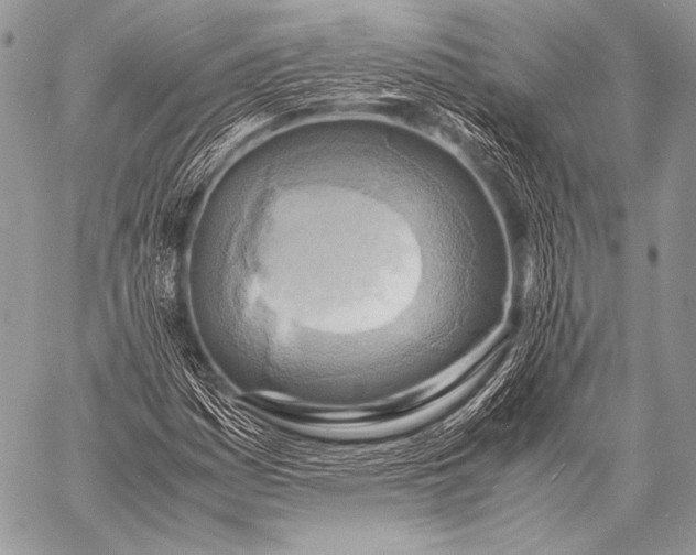 X0000057561161200510141341