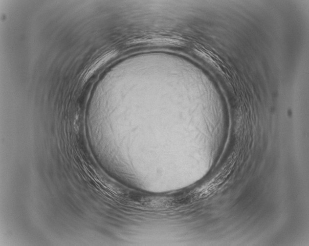 X0000057561163200510141341