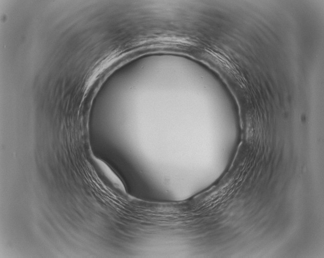 X0000057561164200510141341