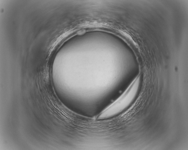 X0000057561167200510141341