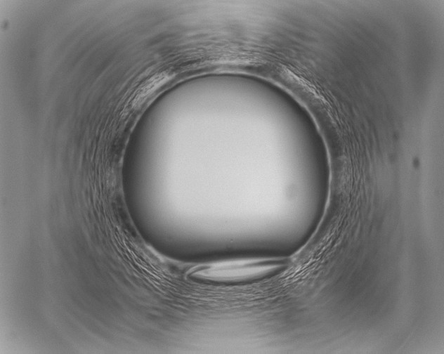 X0000057561169200510141341