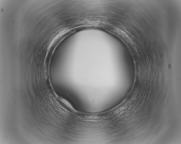 X0000057561172200510141341