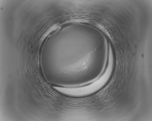 X0000057561173200510141341