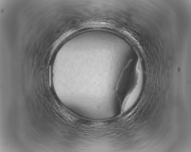 X0000057561175200510141341