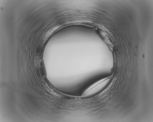 X0000057561177200510141341