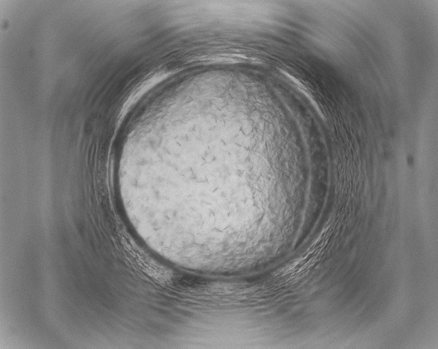 X0000057561179200510141341