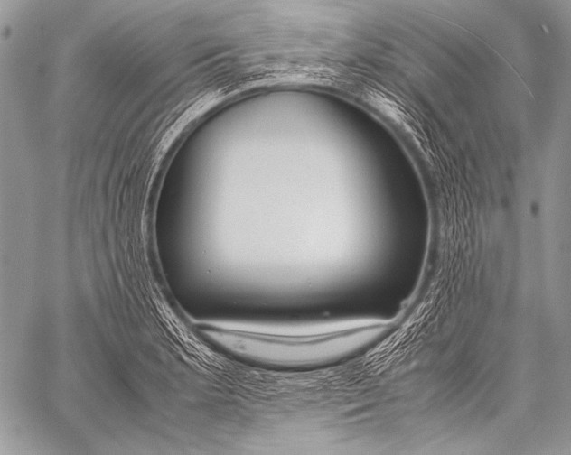 X0000057561181200510141341