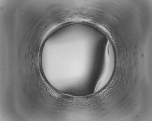 X0000057561183200510141341